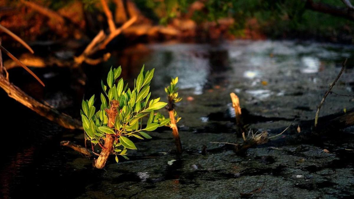 Abaetetuba Pousada São Miguel dos Milagres Εξωτερικό φωτογραφία